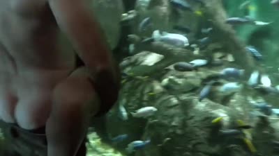 Emmy Rossum Gets Rammed Outside The Aquarium